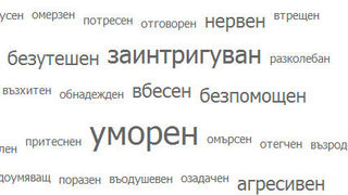 Изборни настроения