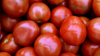 Пет хранителни продукта кандидатстват за защита в ЕС