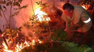 Недостатъчна превенция при горски пожари е установил одит на Сметната палата