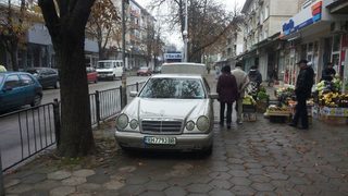 Плевенски тарикат