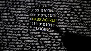 Една от основните ръководни организации на интернет <span class="highlight">ICANN</span> е била хакната