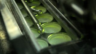 Европейската <span class="highlight">комисия</span> няма да компенсира българските млекопроизводители заради руските санкции