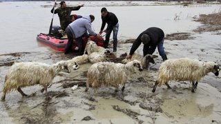 Области в Гърция, Македония и Албания са в бедствено положение заради наводненията