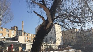 Вандалско строителство на Столична община
