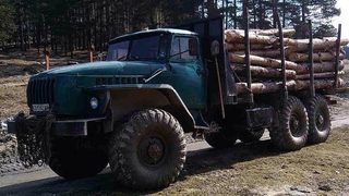 Инспектори задържаха два камиона да превозват незаконно дървесина