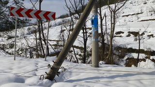 Около 1 200 домакинства в Родопите са все още без ток