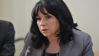 Теменужка Петкова: НЕК няма аргумент да иска увеличение на тока