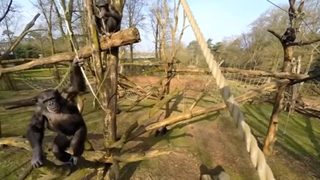 Видео: Как да свалим безпилотен самолет