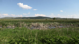 Изчезналото <span class="highlight">блато</span>