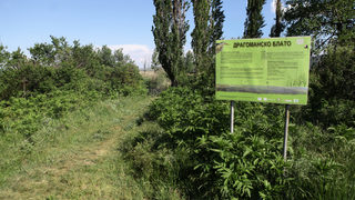 Изчезналото <span class="highlight">блато</span>