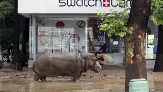 Фотогалерия: Разрухата след наводнението в Тбилиси