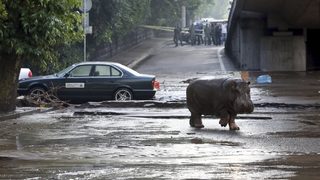 Фотогалерия: Разрухата след наводнението в Тбилиси
