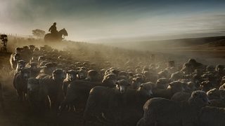 Фотогалерия: Патагония - сред чанове, мате и срещи с приятели