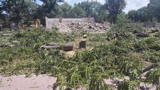 Община Казанлък премахна рядък вид кестени в парка "<span class="highlight">Розариум</span>" (видео)