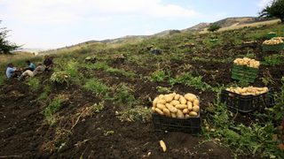 Евродепутатите поискаха мерки за спасяване на европейското земеделие
