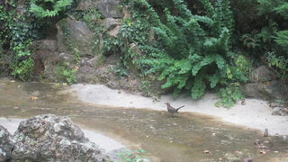 Под пръските на водопада