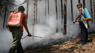 Два големи пожара горят край Брезник и Драгоман