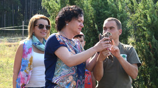 Фотогалерия: Пет керкенеза полетяха на свобода