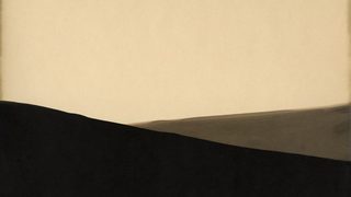 Биология на хартията - любопитният метод на работа на фотографката Алисън Росистър