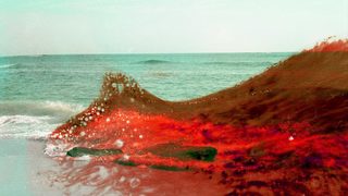 "Нечистота": Фотопроект показва отпечатъка на химикалите върху природата