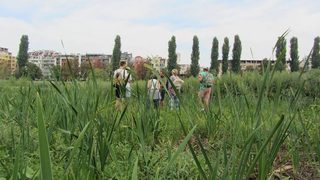 При-общена река