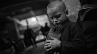 Фотогалерия: Из журналистическите кадри на 2015 г. в изложбата на "БГ прес фото"