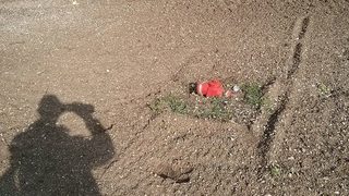 Пожарните кранове са затрупани също!