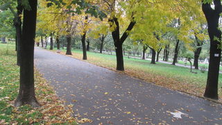 В парка