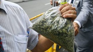 Германия подготвя държавна агенция за медицинска марихуана