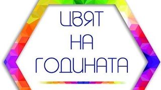 "Цвят на Годината" за първи път в България