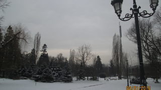 Зимна красота