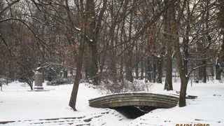 Зимна красота