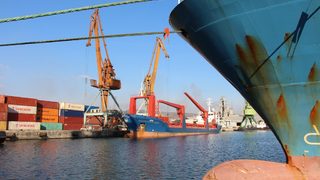 Експерти проверяват сигнали за мъртва риба във Варненското езеро
