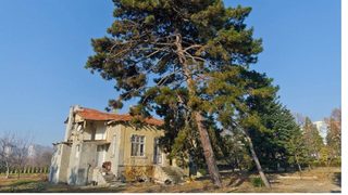 Вятърът, съборил вилата в Морската градина на <span class="highlight">Варна</span>, се оказа "умерен"