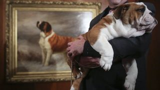 Фотогалерия: Любимите кучета на Америка