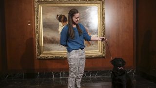 Фотогалерия: Любимите кучета на Америка