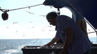 Моряшки истории