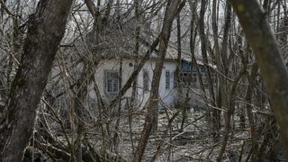 Фотогалерия: Призрачният <span class="highlight">Припят</span> 30 години след Чернобил
