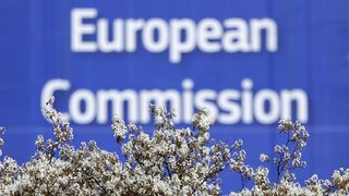 Евроинституциите ще решат след три месеца дали да върнат визите за американци и канадци
