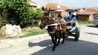 Харманли: Бурките? Всичко е политика. Ние имаме други проблеми