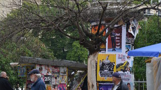 Старото дърво