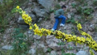 С децата в почивните дни (28 и 29 май)