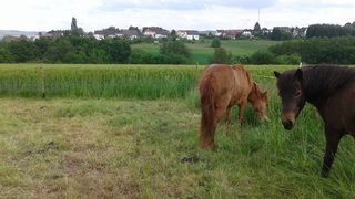 На село в Германия, в дома на Маргрет и Алфонс
