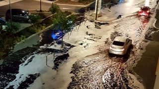 Видео: Радикални <span class="highlight">лозари</span> изляха 50 000 литра вино по улиците на френски град