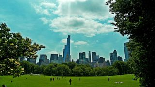 Aвгустовски NY