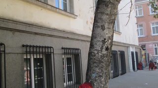 Mузика сред градския шум