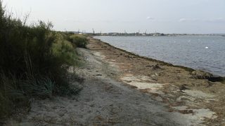 Езерото