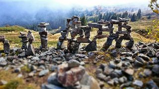 Фотогалерия: Витоша в последните златни дни