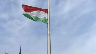 "Файненшъл таймс": Русия подкрепя неонацистка групировка в Унгария