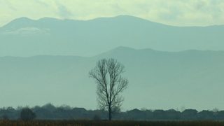 Въздухът в България продължава да буди сериозно безпокойство, установиха от ЕС